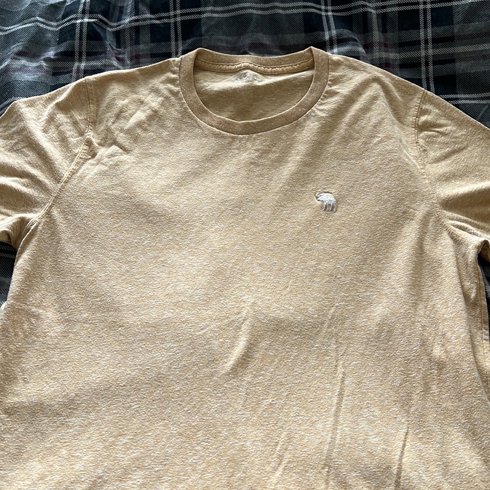 Abercrombie distressed T-shirt